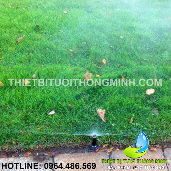 Tưới phun mưa tưới cỏ tự động khách hàng biệt tự huyện nhà bè