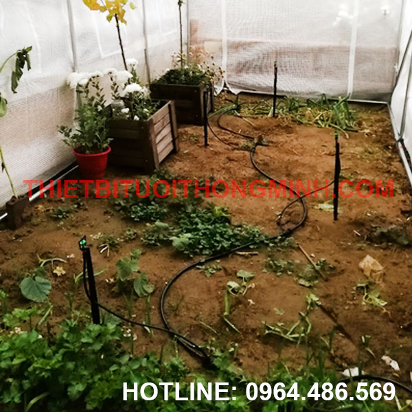 Lắp tưới mua tưới vườn rau nhỏ trong vườn ươm huyện bình chánh