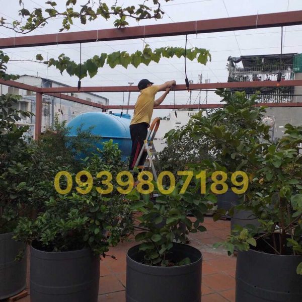 Lắp đặt hệ thống tưới cây rau lan tự động sân thượng ban công tphcm