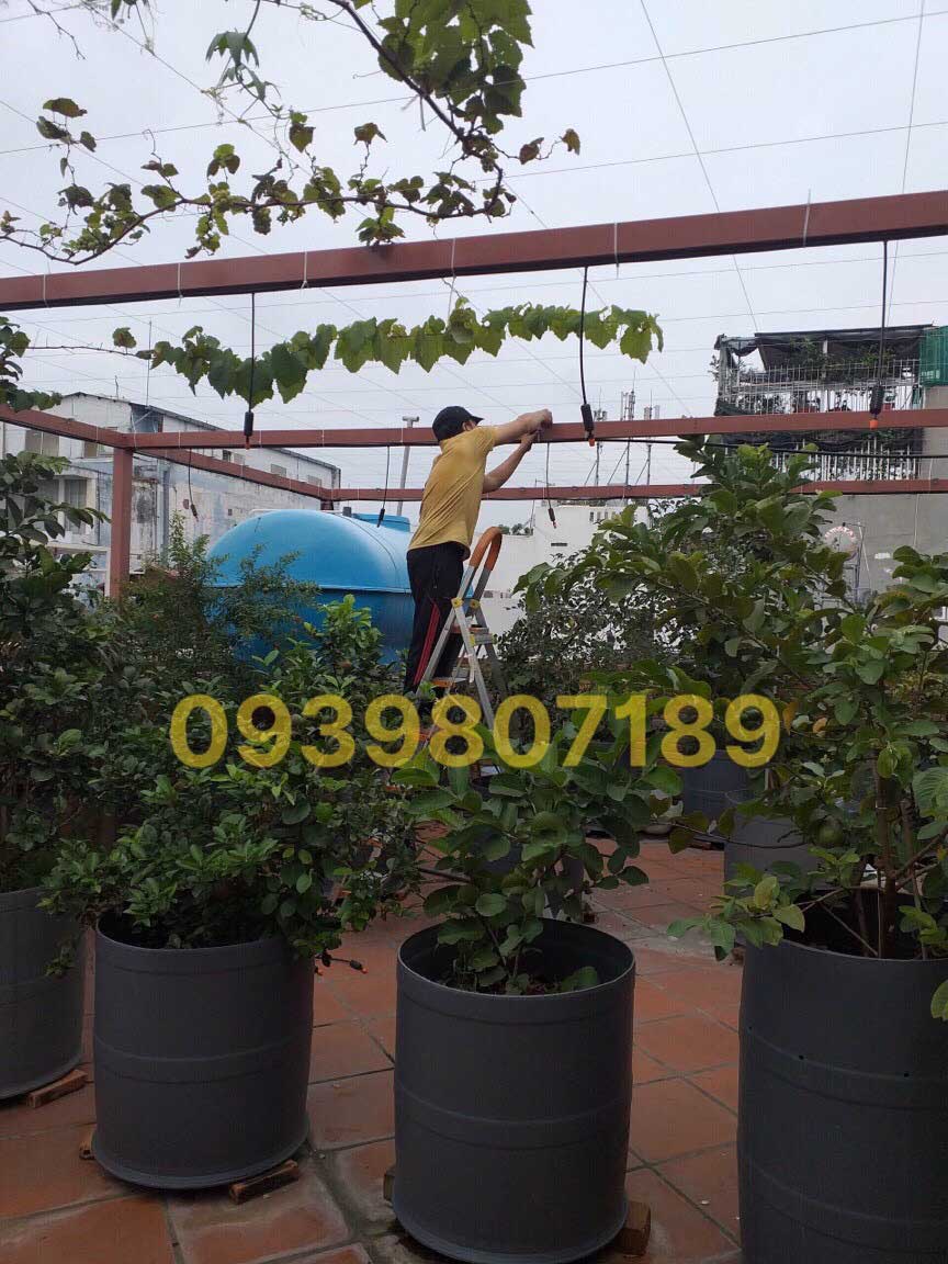 Lắp đặt hệ thống tưới cây rau lan tự động sân thượng ban công tphcm 