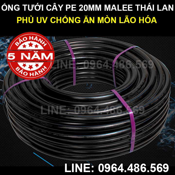 Ống pe 20mm Malee